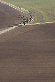 Track Prints: Arable farmland with cultivated fields and road, Vastergotland, Sweden, spring