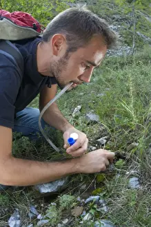 Spider Prints: Arachnologist catching spiders with pooter for study purposes, Italy