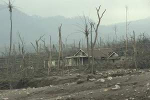 Javan Prints: Ash covered fields, damaged house and dead trees