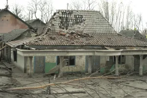 Javan Prints: Ash covered roof of damaged house and dead trees