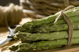 Bundles Prints: Asparagus (Asparagus officinalis) bundle of cut spears