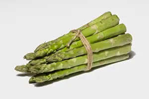 Asparagus (Asparagus officinalis) bundle of cut spears