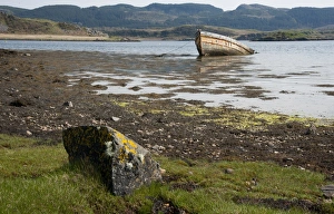 Our Atalanta boat wreck in sea loch, Craignish Loch, Ardfern, Argyll and Bute, Scotland, april