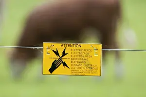 Fence Prints: Attention, Electric Fence sign on electric fence wire