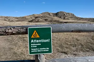 Dangerous Prints: Attention! Rattlesnakes in Area warning sign on fence in shortgrass prairie