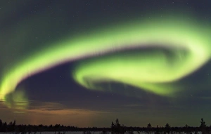Borealis Prints: Aurora Borealis, over taiga forest at night, Finland, January