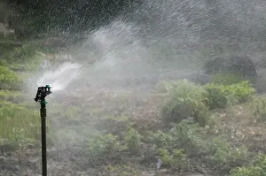 System Prints: Automated garden sprinkler system watering vegetable garden, Norfolk, England, april