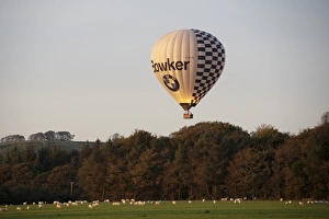 Hobbies Prints: Ballooning, hot-air balloon over farmland with sheep flock