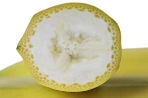 Ripe Prints: Banana (Musa sp. ) halved fruit