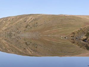Reservoirs Prints: Banks of reservoir reflected in water, Claerwen Dam, Elan Valley, Powys, Wales, january