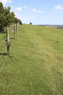 Wire Prints: Barbed wire fence at edge of chalk downland reserve habitat