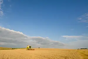 Cultivate Prints: Barley (Hordeum vulgare) crop, Cls combine harvester harvesting ripe field