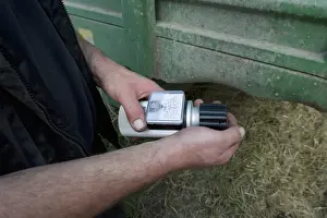 Grain Prints: Barley (Hordeum vulgare) crop, farmer testing harvested grain with moisture tester