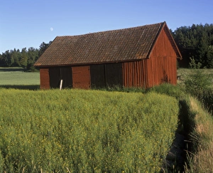 Tranquil Prints: A barn and the moon, Sweden