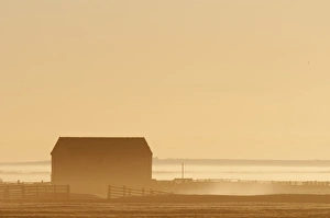 Mood Prints: Barn silhouetted on grazing marsh at sunrise
