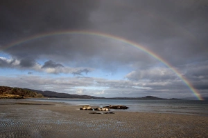 Tide Prints: Bay of small Isles on the Isle of Jura