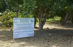 Site Prints: This Beach is a Nesting and Research Site for Critically Endangered Sea Turtles sign