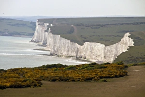 Erosion Prints: Beachy Head looking west over Birling Gap over gorse