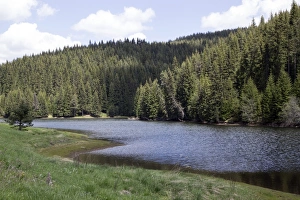 Park Prints: Beglika Park in the Rodopi mountain range Bulgaria