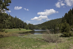 Beglika Park in the Rodopi mountain range Bulgaria