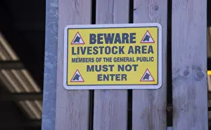 Signposts Prints: Beware, Livestock area, Members of the general public must not enter sign on dairy farm builidng