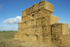 Stacked Prints: Big bale straw stack in field, Sweden, October