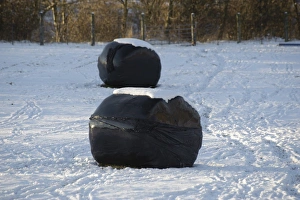 Baled Prints: Big bales of silage wrapped in black plastic