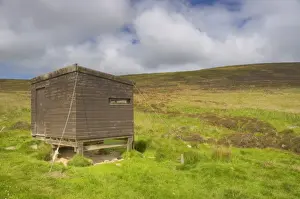 Moor Land Prints: Bird hide on moorland habitat, Cottascarth and Rendal Moss RSPB Reserve