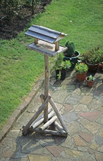 Feeder Prints: Birdtable on patio in garden, England