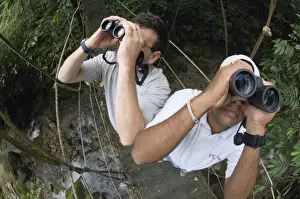 Rain Forests Prints: Two birdwatchers with binoculars, birding in foothill rainforest, El Valle, Panama