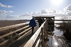 Boardwalks Prints: Birdwatchers walking on boardwalk towards hide in coastal wetland