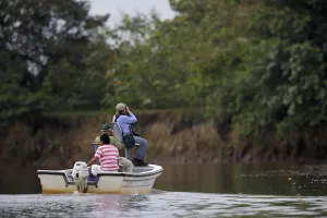 Woman Prints: Birdwatching from boat on river in rainforest, Cano Negro, Costa Rica, February