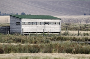 Hides Prints: Birdwatching hide overlooking marshland