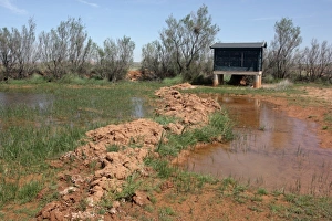 Steppes Prints: Birdwatching hide at pool in steppe habitat