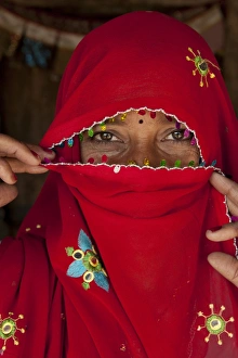 Rajasthan Prints: Bishnoi woman wearing veil, close-up of head, Thar Desert, Rajasthan, India