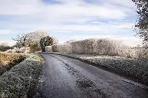 Frosty Prints: Black ice, sometimes called clear ice