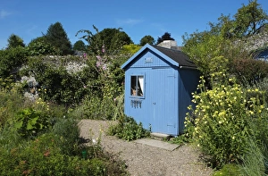 Cottages Prints: Blue shed in cottage garden, Saint-Valery-sur-Somme