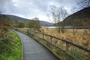 Boardwalks Prints: Boardwalk at edge of lake, Lower Lake