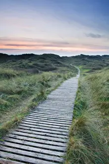 Site Prints: Boardwalk across vegetated coastal sand dune habitat at sunset