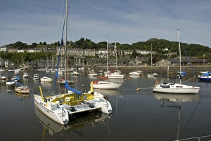 Gwynedd Prints: Boats moored in harbour, Afon Glaslyn Estuary, Porthmadog, Gwynedd, Wales, june