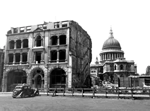 Site Prints: Bombed out building near St Pauls London where Black Redstarts were nesting