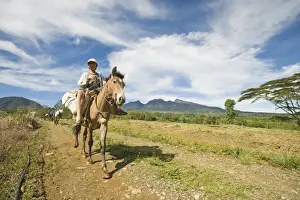 Equids Prints: Boy riding pack horse, descending from inactive volcano
