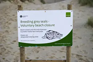 Grey Prints: Breeding Grey Seals, Voluntary Beach Closure sign on beach near seal colony