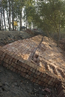 West Bengal Prints: Bricks used for flood defence repairs, Sundarbans, Ganges Delta, West Bengal, India
