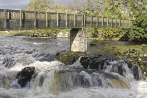 Limestone Prints: Bridge and cascades over limestone rocks