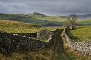 Stone Prints: Bridleway meandering between drystone walls in upland farmland