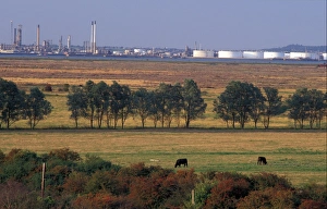 Britain Cliffe Marshes, Cliffe, Kent