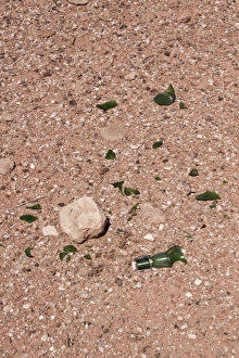 Waste Prints: Broken glass bottle dumped by the side of the road, risk to wildlife and fire
