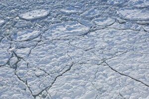 Ices Prints: Broken ice on frozen sea, near Helsinki