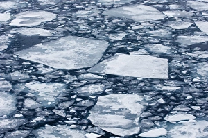 Melts Prints: Broken pack ice, brash ice at sea, Weddell Sea, Antarctica, november